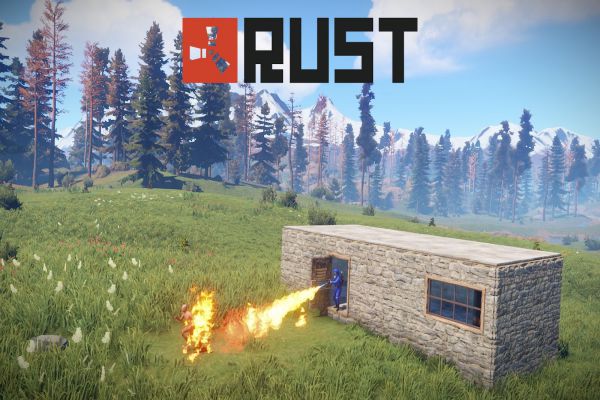 rust-crack